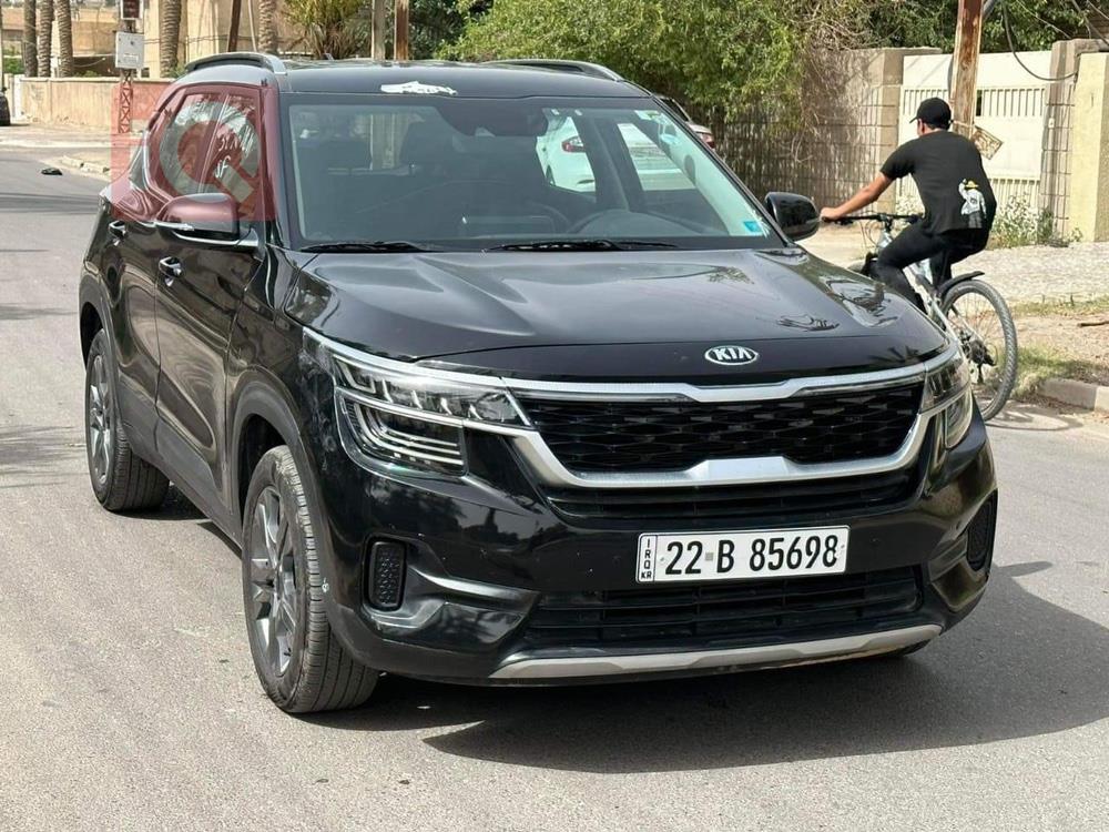 کیا سێلتۆس